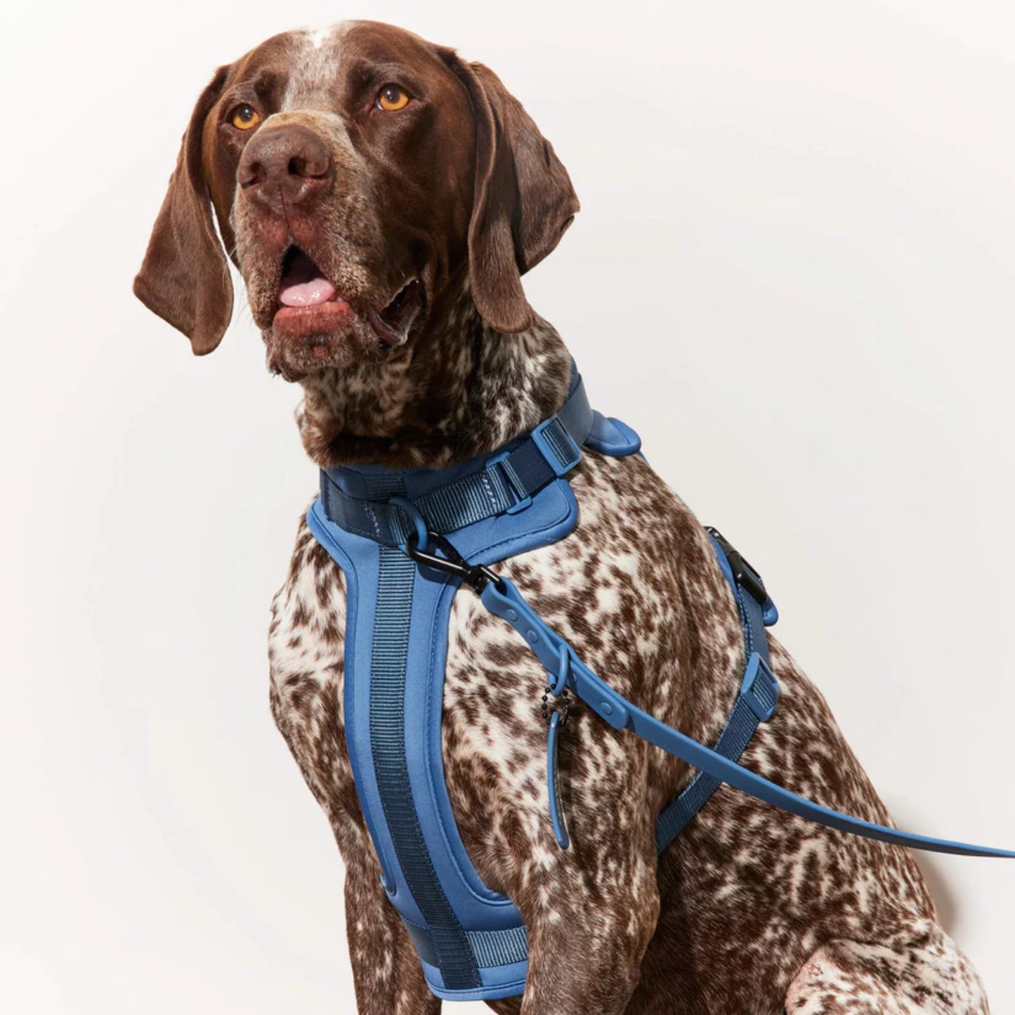 Kit Passeggiata Completo - Blu