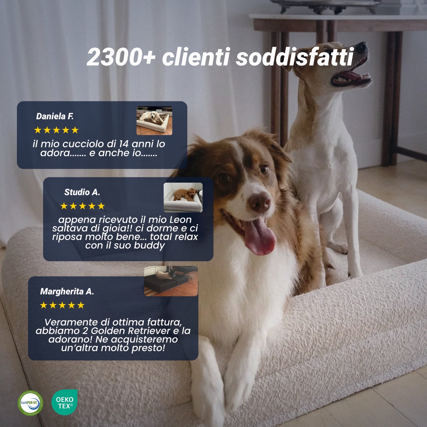 Buddy - Letto grande + cover puff