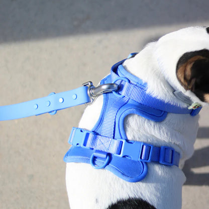 Kit Passeggiata Celeste