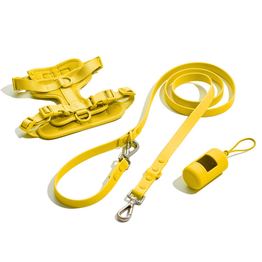 Kit Passeggiata Giallo