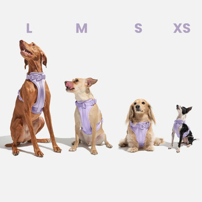 Kit Passeggiata Completo - Viola