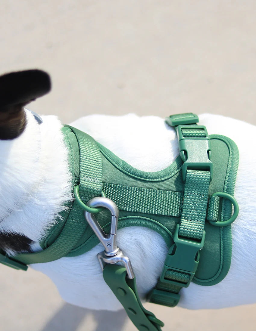 Kit Passeggiata Verde