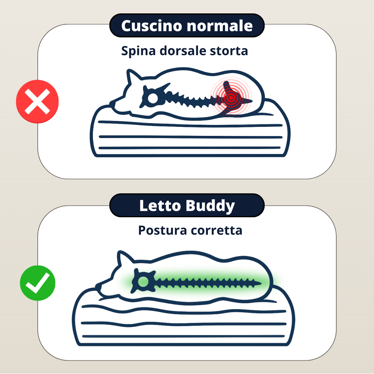 Buddy - Letto Ortopedico per Cani
